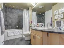 EAU CLAIRE 1 BEDROOM FULLY FURNISHED CONDO - Photo 8