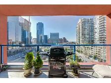 EAU CLAIRE 1 BEDROOM FULLY FURNISHED CONDO - Photo 10