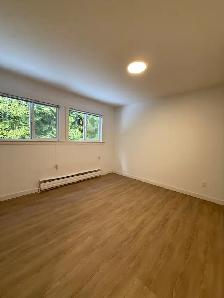 3 BED 1.5 BATH beautiful townhome. Includes heat $2150 - Photo 3