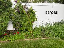 Affordable Grass Cutting & Weed Removal – Cheap Rates! - Photo 5