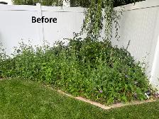 Affordable Grass Cutting & Weed Removal – Cheap Rates! - Photo 6