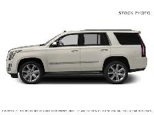2015 Cadillac Escalade PLATINUM - Photo 3