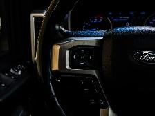 2022 Ford Super Duty F-350 SRW Platinum 6.7L Tremor Off-Road - Photo 22