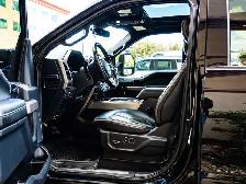 2022 Ford Super Duty F-350 SRW Platinum 6.7L Tremor Off-Road - Photo 17