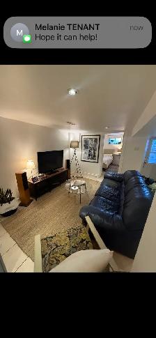 1-BDRM BSMT APT. ON BEAUTIFUL DELAWARE AVE.