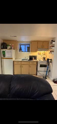 1-BDRM BSMT APT. ON BEAUTIFUL DELAWARE AVE. - Photo 3