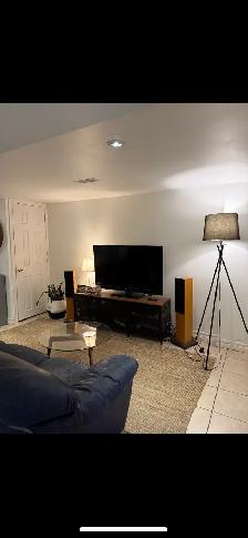 1-BDRM BSMT APT. ON BEAUTIFUL DELAWARE AVE. - Photo 4