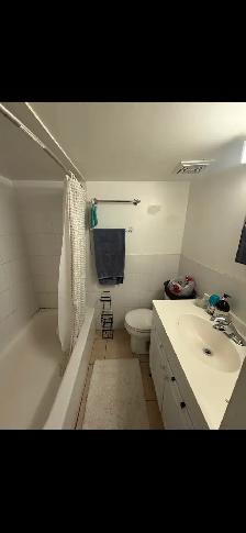 1-BDRM BSMT APT. ON BEAUTIFUL DELAWARE AVE. - Photo 5