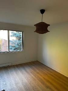 I am looking for a painting /spotlight /dry wall electrical, cem - Photo 5