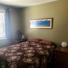 Fully furnished short-mid term rental in Point Clark - Photo 9