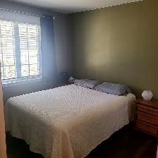Fully furnished short-mid term rental in Point Clark - Photo 10