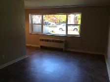 Top Floor Newly Renovated Large 2 Bedroom Available Sept. 1 - Photo 3
