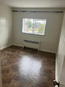 Top Floor Newly Renovated Large 2 Bedroom Available Sept. 1 - Photo 8