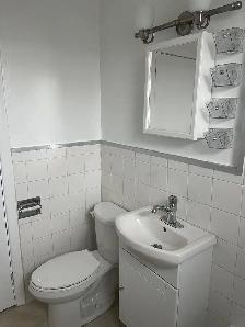 Top Floor Newly Renovated Large 2 Bedroom Available Sept. 1 - Photo 9
