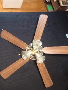 Ventilateur plafonnier