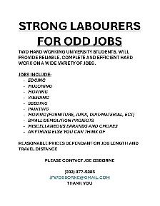 TWO STRONG LABOURERS FOR ODD JOBS