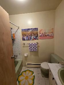 Beautiful 4 Bedrooms Townhouse overlooking the water in Halifax - Photo 7