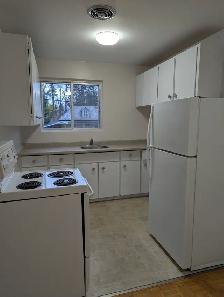 2 Bedroom Apartment in Strathroy - Photo 4
