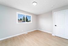Renovated 3 Bed Home for Rent | Pet Friendly - Photo 6