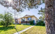 Renovated 3 Bed Home for Rent | Pet Friendly - Photo 9