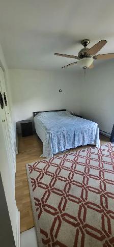 Appartement 3 1/2 à louer 1er aout Montréal-Nord - Photo 5