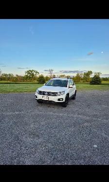 2015 Volkswagen Tiguan for Sale - Photo 2