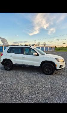 2015 Volkswagen Tiguan for Sale - Photo 3