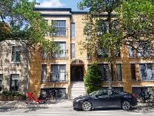 Charmant 4 ½ à louer au cœur du Plateau Mont-Royal - Photo 10