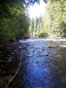 Outdoor lovers paradise - Photo 4