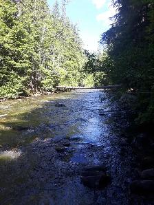 Outdoor lovers paradise - Photo 5