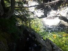 Outdoor lovers paradise - Photo 11