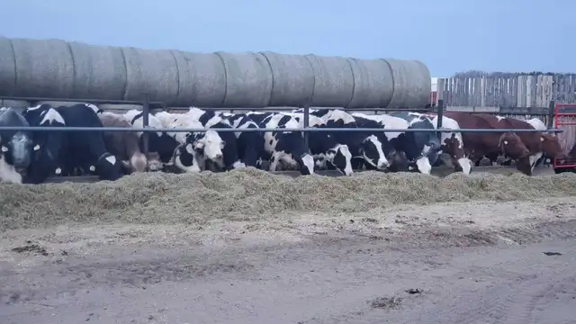Dairy farm milker