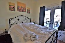 Live on the main floor of a modern house in Little Italy! - Photo 4