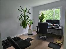 5½ à louer | For Rent – Saint-Laurent $2,500/mois - Photo 5