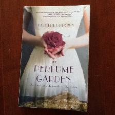 Softcover large Novels –Various subjects -  Great Reading
