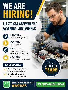 Electrical Assembler/ Electrical Technician