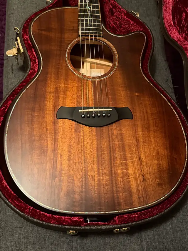 Taylor K24CE Builders Edition