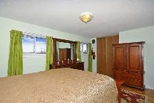 PRIVATE ROOMS FOR RENT Near Humber College North Campus - Photo 3
