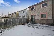 PRIVATE ROOMS FOR RENT Near Humber College North Campus - Photo 4