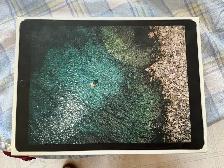 iPad Pro 12.9: 512 Gb, Wifi Cellular, $450.00 - Photo 3