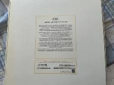 iPad Pro 12.9: 512 Gb, Wifi Cellular, $450.00 - Photo 4