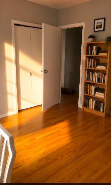 RENT A ROOM AT YONGE AND STEELES NEAR CENTER POINT MALL