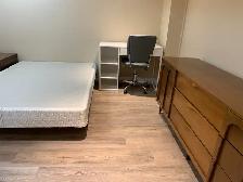Three Rooms Available for Rent to Female Students - Photo 8