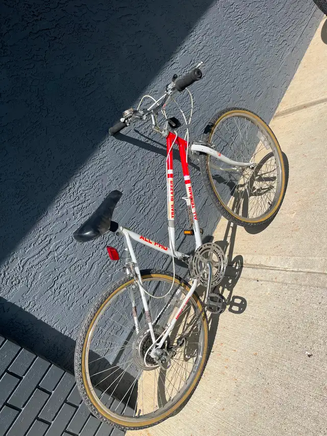 21 speed bike