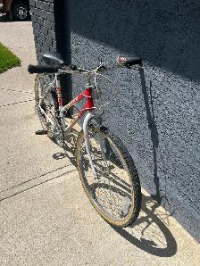 21 speed bike - Photo 2