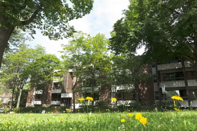 1 1/2 Ste-Foy - Tout inclus - près du cégep Garneau - 1er août