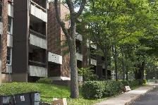 1 1/2 Ste-Foy - Tout inclus - près du cégep Garneau - 1er août - Photo 3
