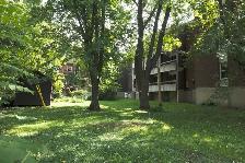 1 1/2 Ste-Foy - Tout inclus - près du cégep Garneau - 1er août - Photo 9