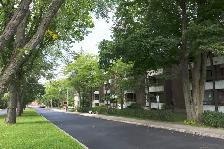 1 1/2 Ste-Foy - Tout inclus - près du cégep Garneau - 1er août - Photo 10
