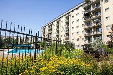 4 1/2 - Charlesbourg - Piscine - jardins - août - Photo 2